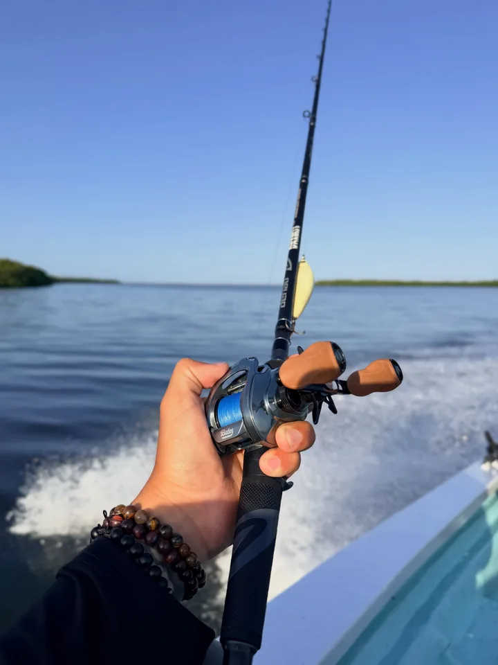 Caña y carrete de pesca en mano desde una lancha en movimiento, con la estela del motor y el manglar en la orilla