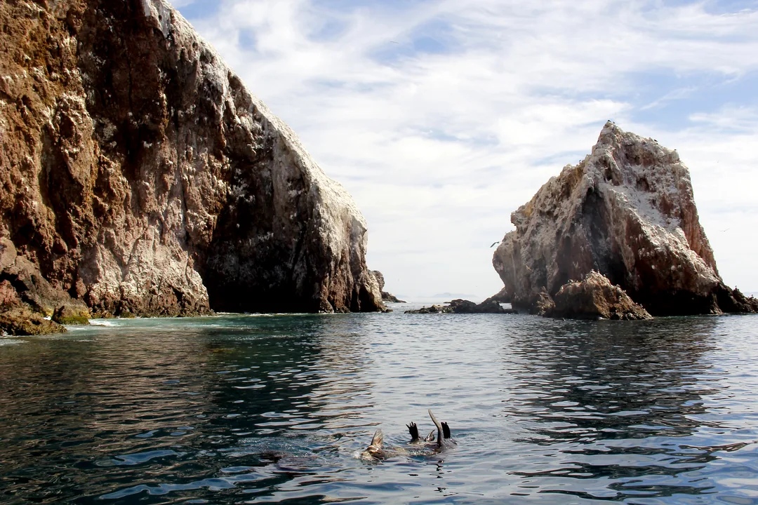 Isla El Farallón